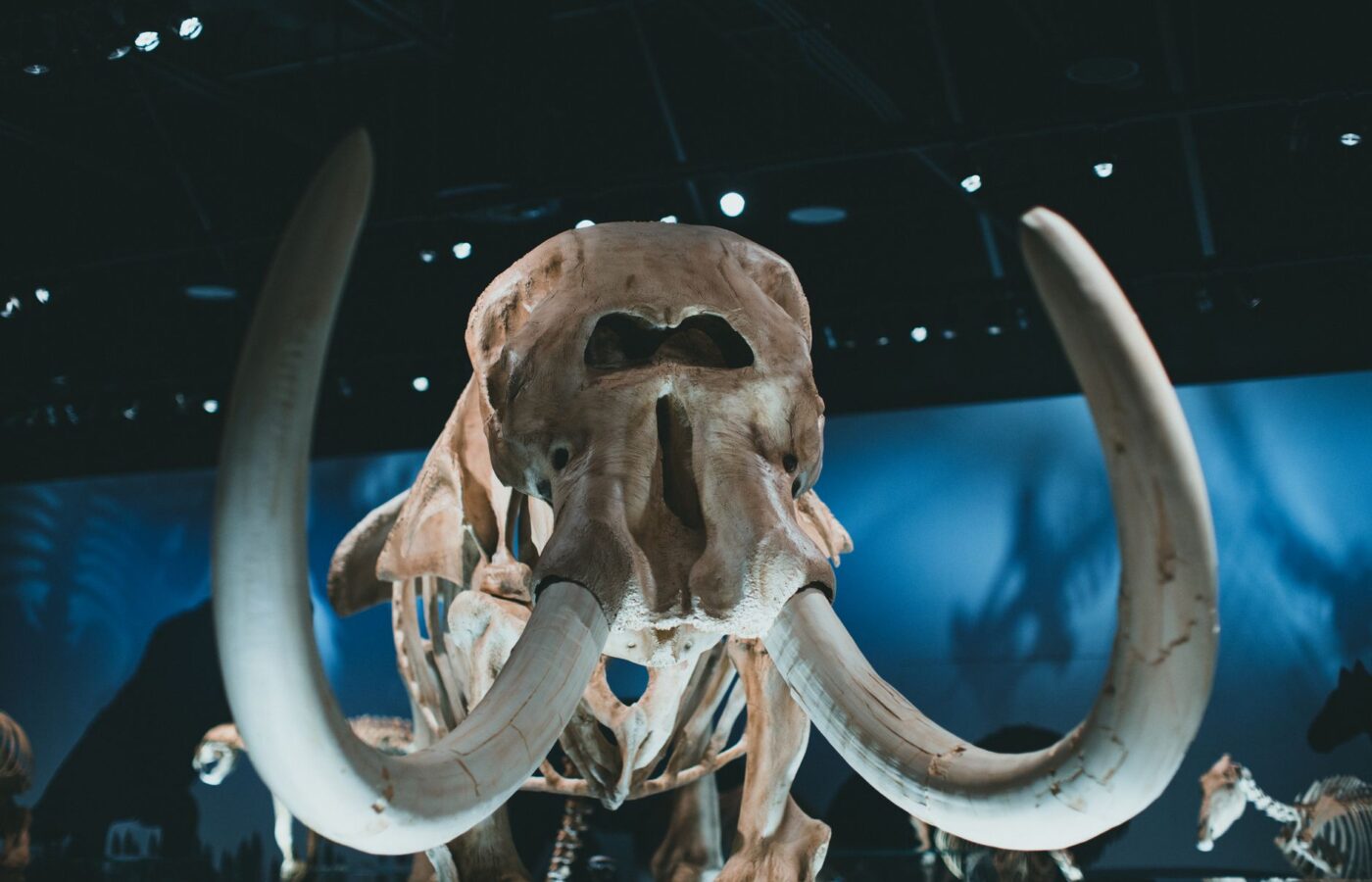 Prehistoric animal discovery: Clear insights on new species