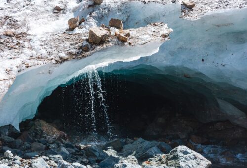 Antarctic snow melting: The Proven Impact of Penguin Poop