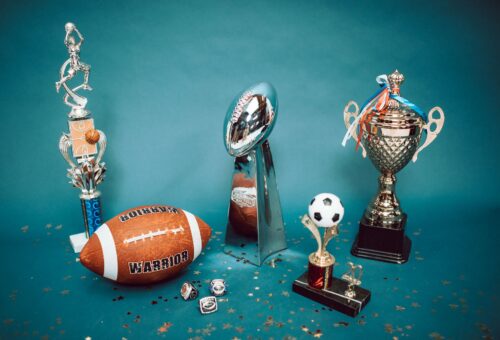 World Bowls Championship: Best Historic Win for India